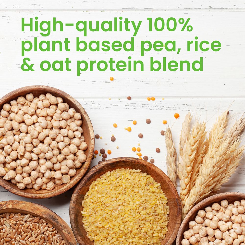 Vplab Vegan Protein Chocolate