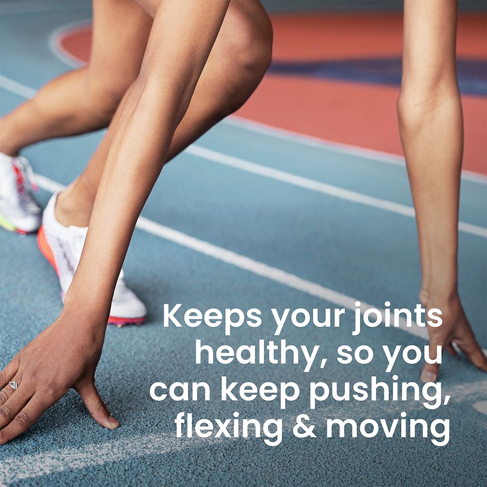 VPLAB Glucosamine & Chondroitin & MSM