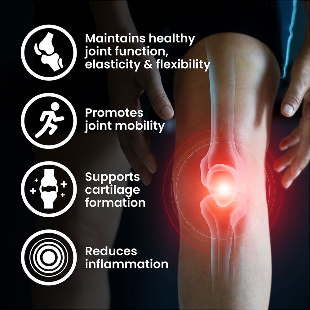 VPLAB Glucosamine & Chondroitin & MSM