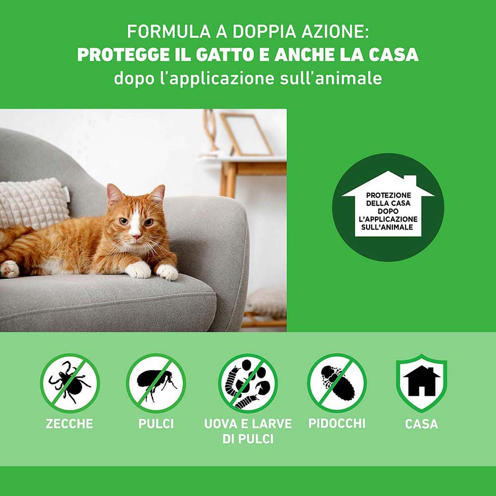 Frontline Combo Gatti x6 Pipette, Antiparassitario Contro Pulci, Zecche E Pidocchi Set da 2