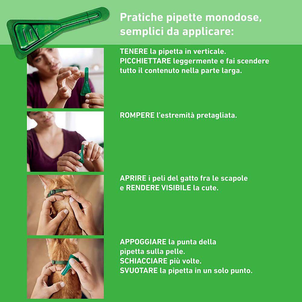 Frontline Combo Gatti x6 Pipette, Antiparassitario Contro Pulci, Zecche E Pidocchi Set da 2