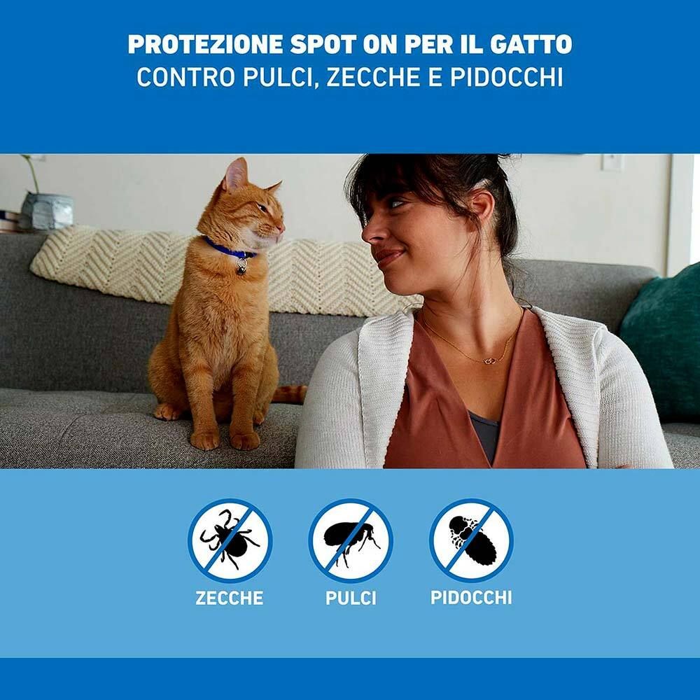 FRONTLINE SPOT-ON GATTI*soluz 3 pipette 0,5 ml 50 mg Set da 2