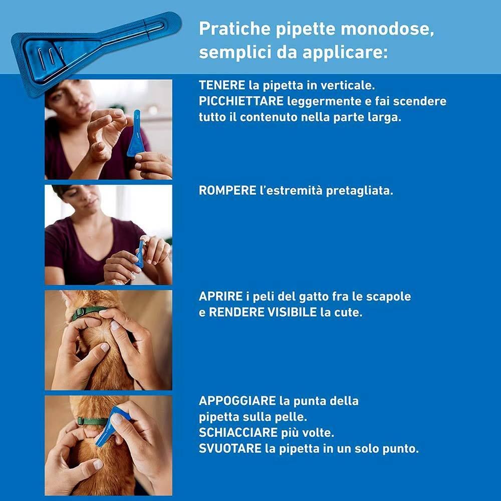 FRONTLINE SPOT-ON GATTI*soluz 3 pipette 0,5 ml 50 mg Set da 2