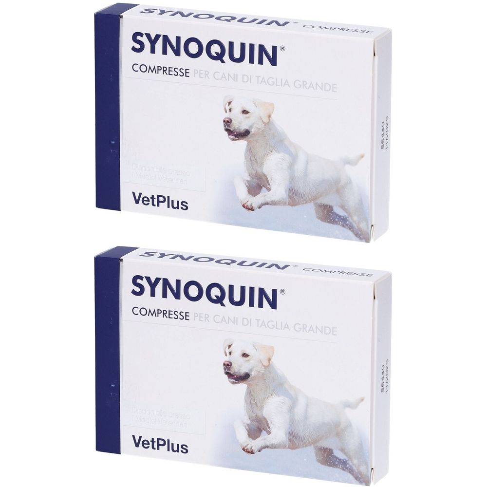 Due scatole di Synoquin. Su ogni scatola è raffigurato un cane bianco. È visibile la scritta "COMPRESSE PER CANI DI TAGLIA GRANDE".
