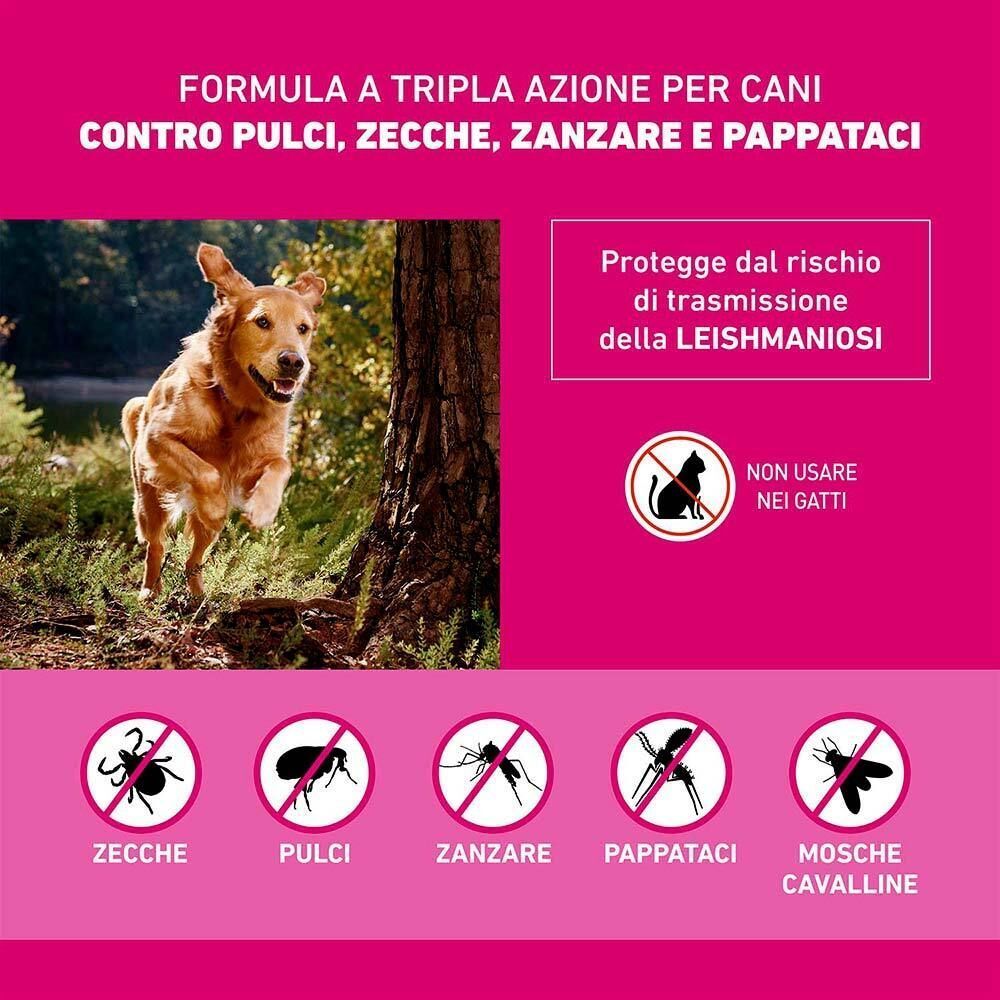 Sfondo rosa con testo e simboli. Cane che corre. Avvertenza: Non usare nei gatti. Protezione dalla leishmaniosi.