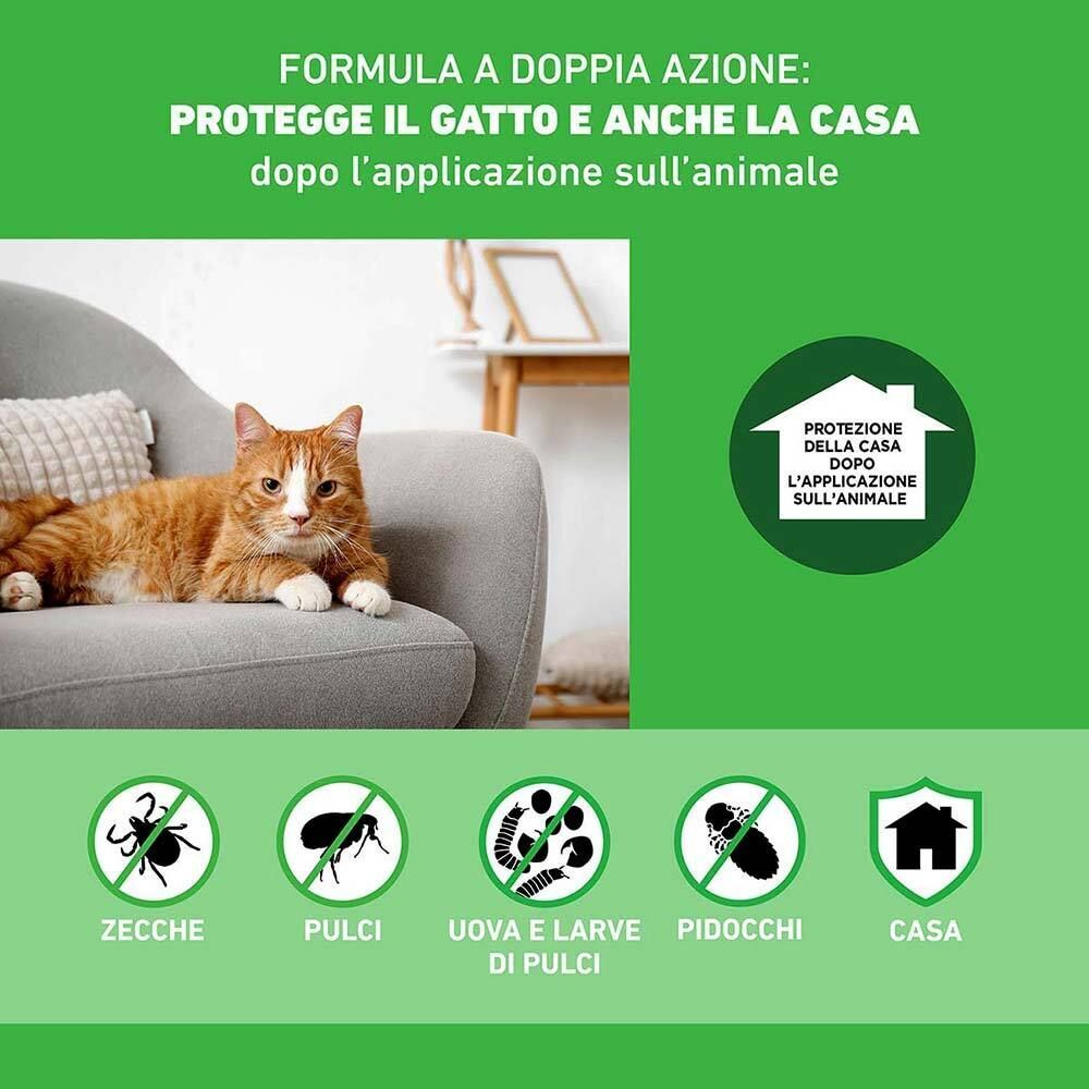 Gatto sul divano, circondato da simboli per zecche, pulci, uova/larve e casa.