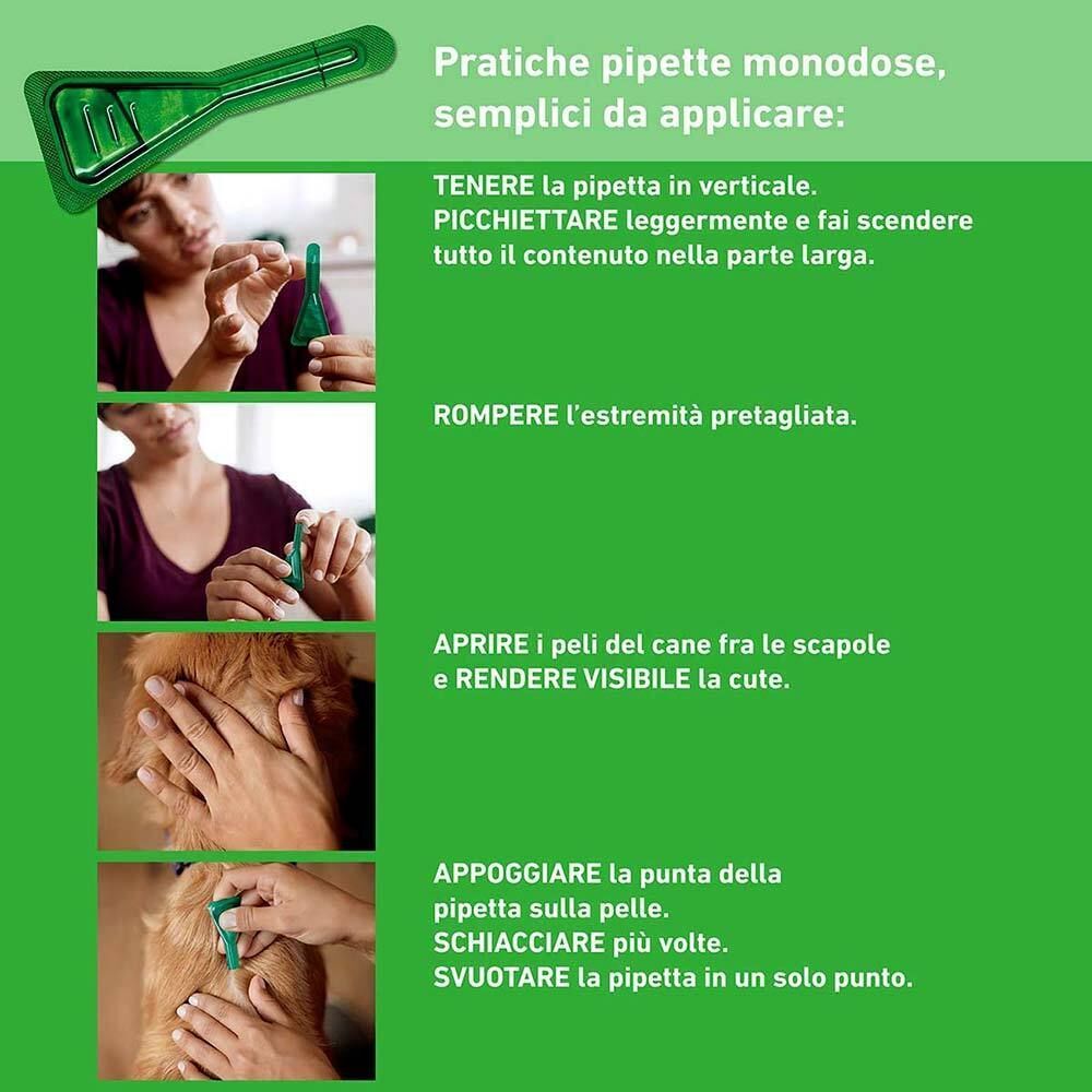 Grafica con istruzioni per l'applicazione del prodotto. Mostra una persona che applica il prodotto su un cane.