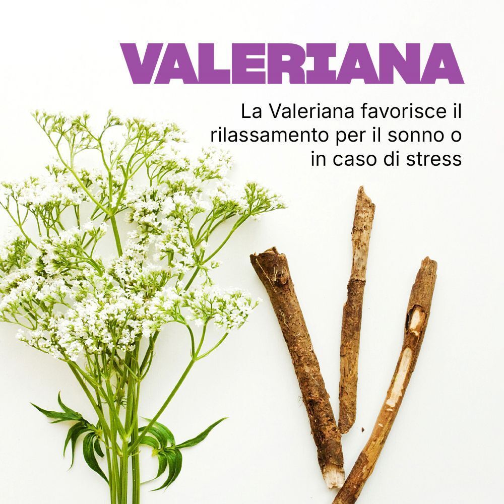 Fiori e radici di valeriana. Testo: La valeriana favorisce il rilassamento per il sonno o in caso di stress.