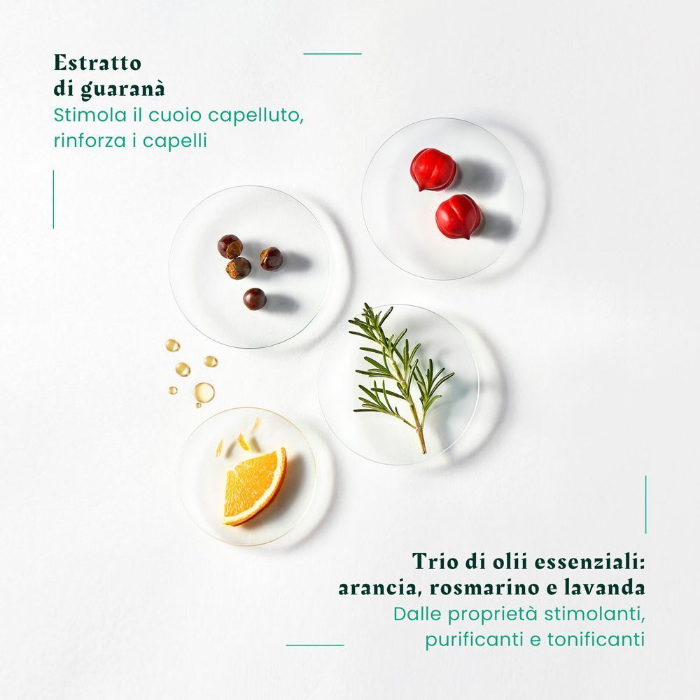 Vari ingredienti su piastre di vetro: estratto di guaranà, oli essenziali. Testo e logo.