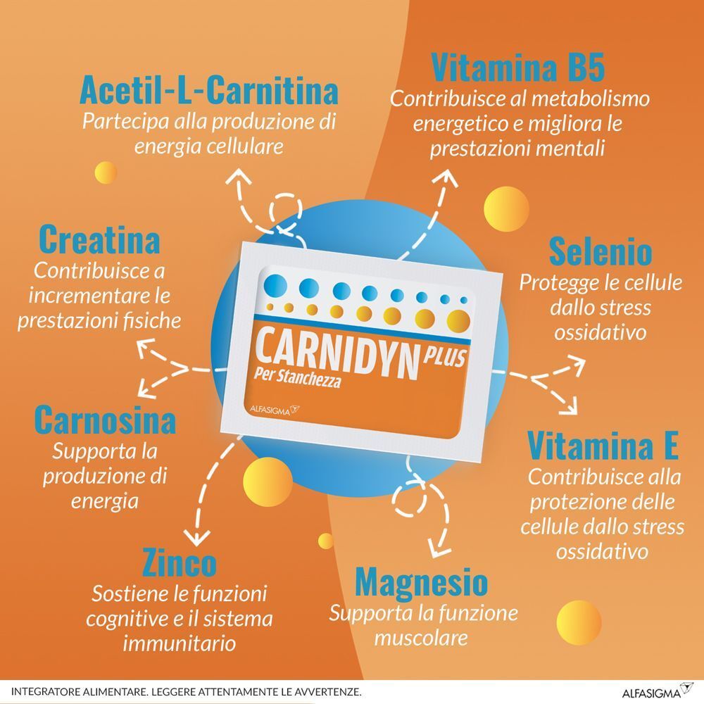 Una bustina CARNIDYN PLUS® con frecce che evidenziano gli ingredienti. Testo: Acetil-L-Carnitina, Creatina, Selenio, ecc.