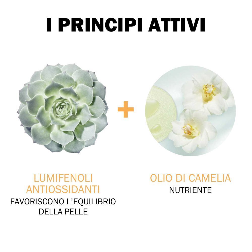 Principi attivi: Lumifenoli antiossidanti e Olio di Camelia nutriente.