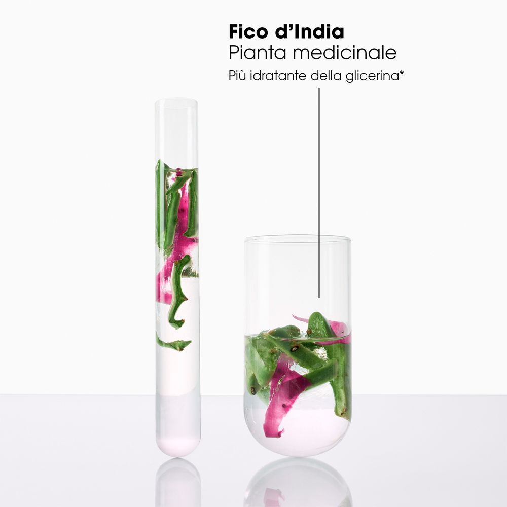 Fico d'India pianta medicinale, più idratante della glicerina, in provetta.
