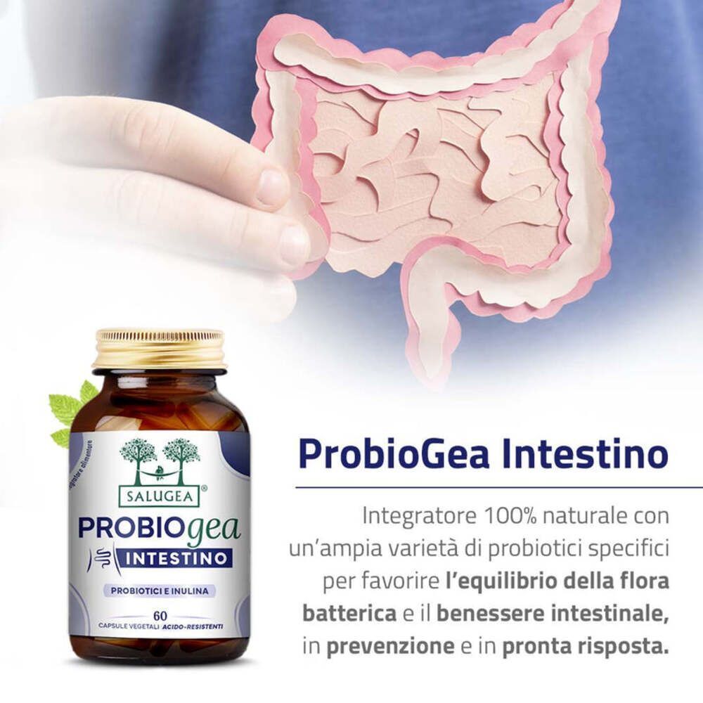 Un flacone di Salugea ProbioGea Intestino davanti a una rappresentazione schematica dell'intestino.