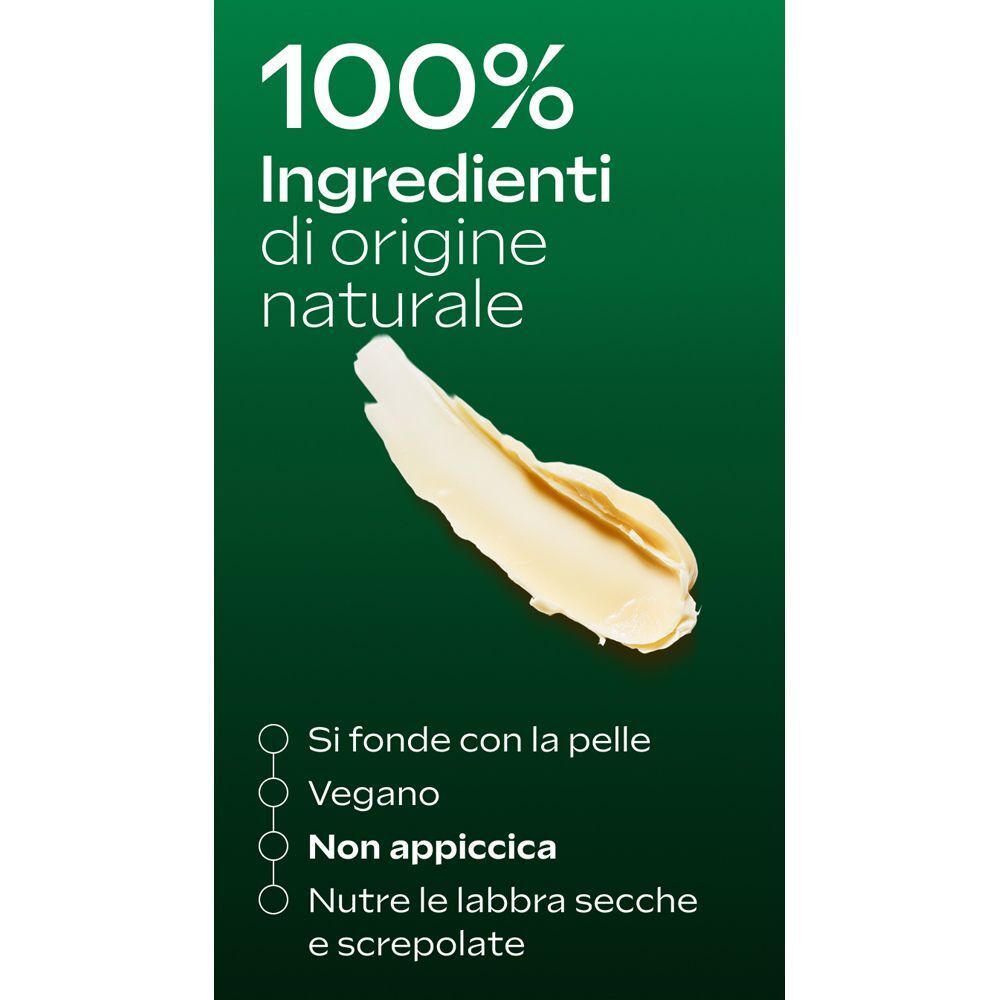 Weleda Skin Food Lip Stick: 100% ingredienti naturali, vegano, non appiccicoso.