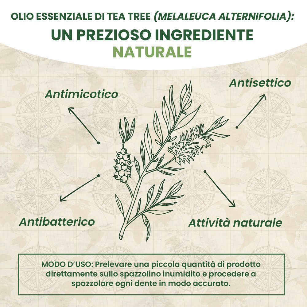 Olio di tea tree: antimicotico, antisettico, antibatterico, attività naturale.