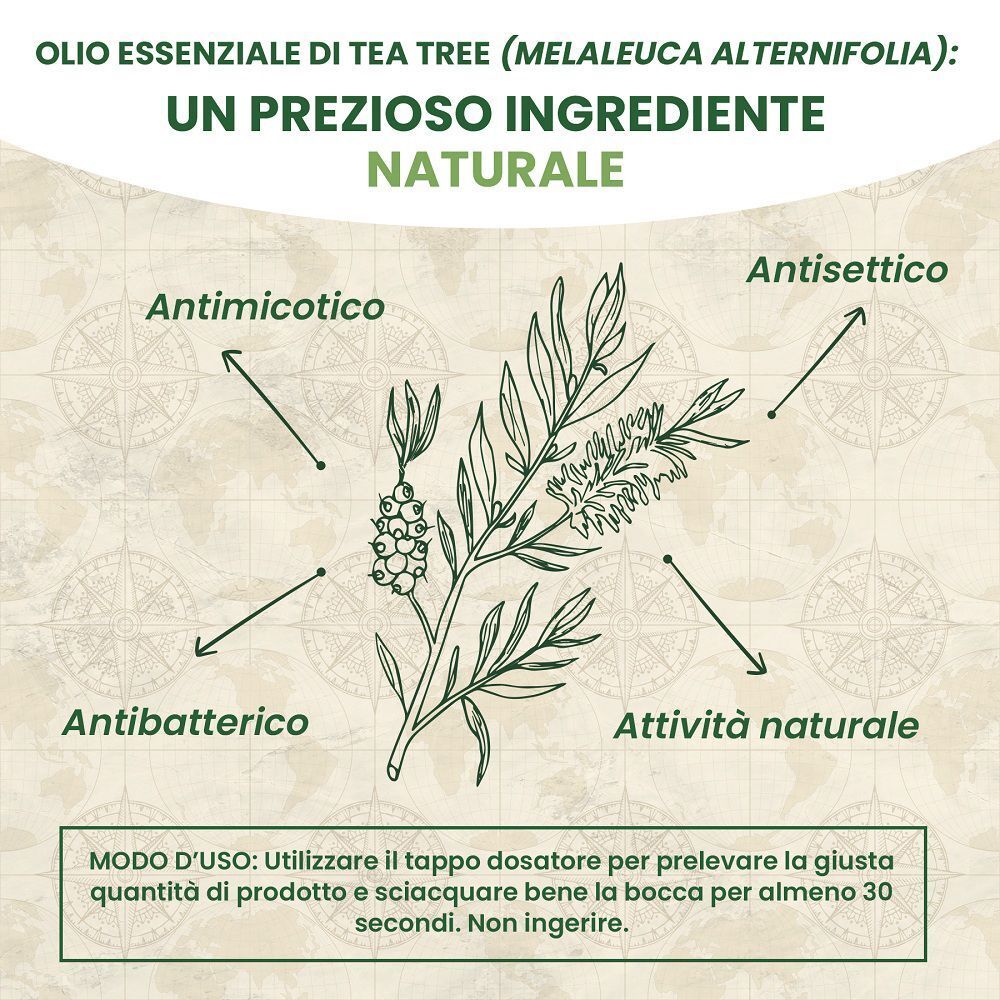 Olio di Tea Tree (Melaleuca Alternifolia): antimicotico, antibatterico, antisettico, attività naturale.