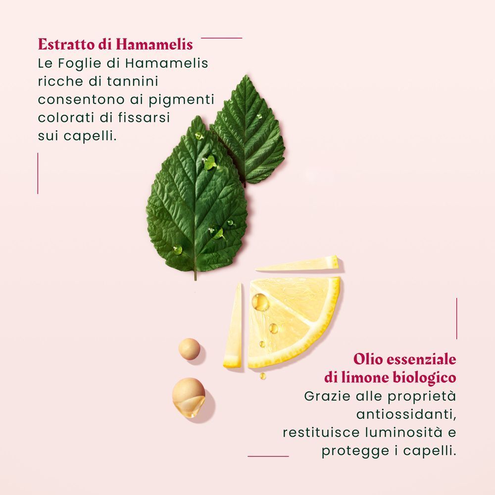 Estratti di amamelide e olio di limone bio per capelli.