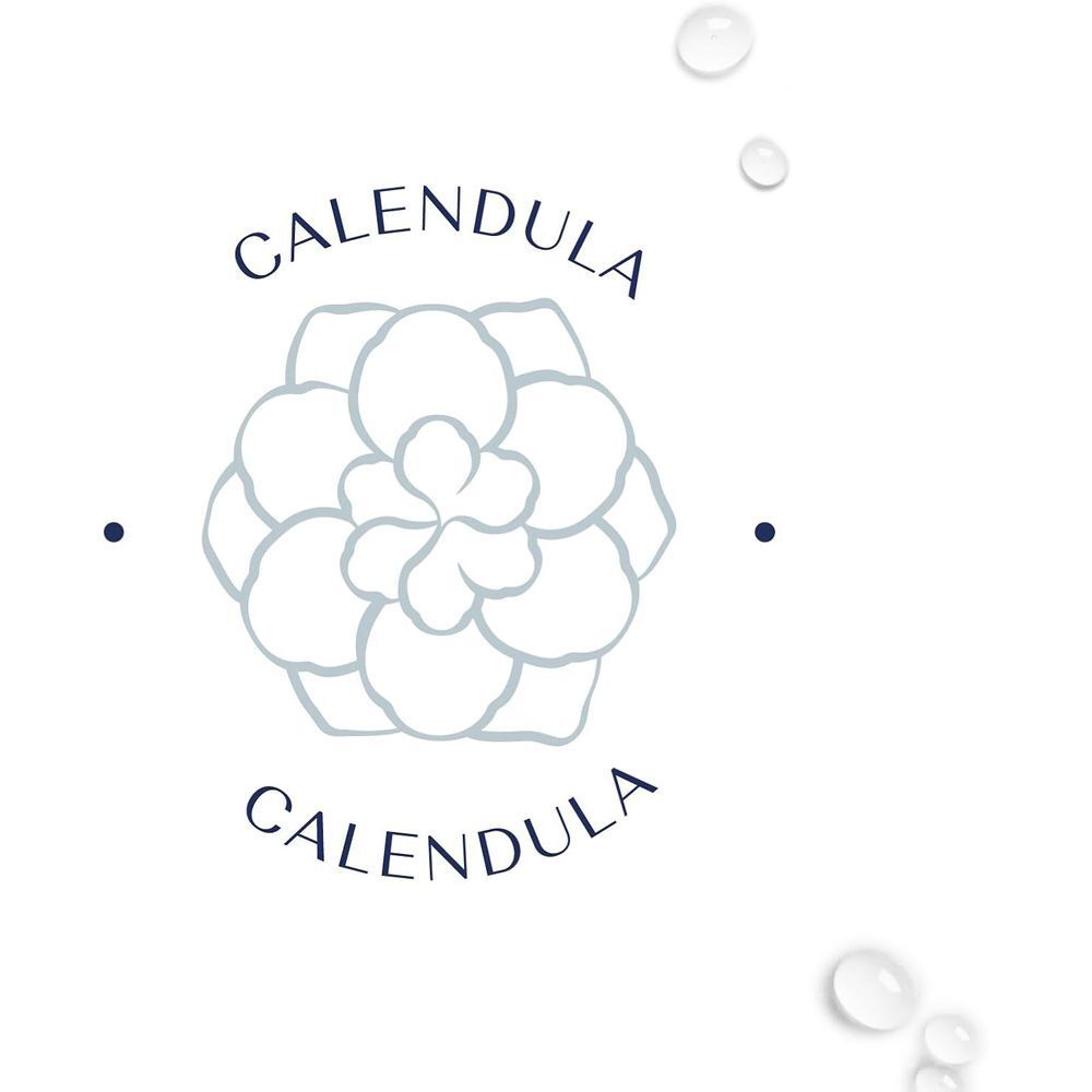 Rappresentazione stilizzata di un fiore di calendula con testo 'Calendula'.