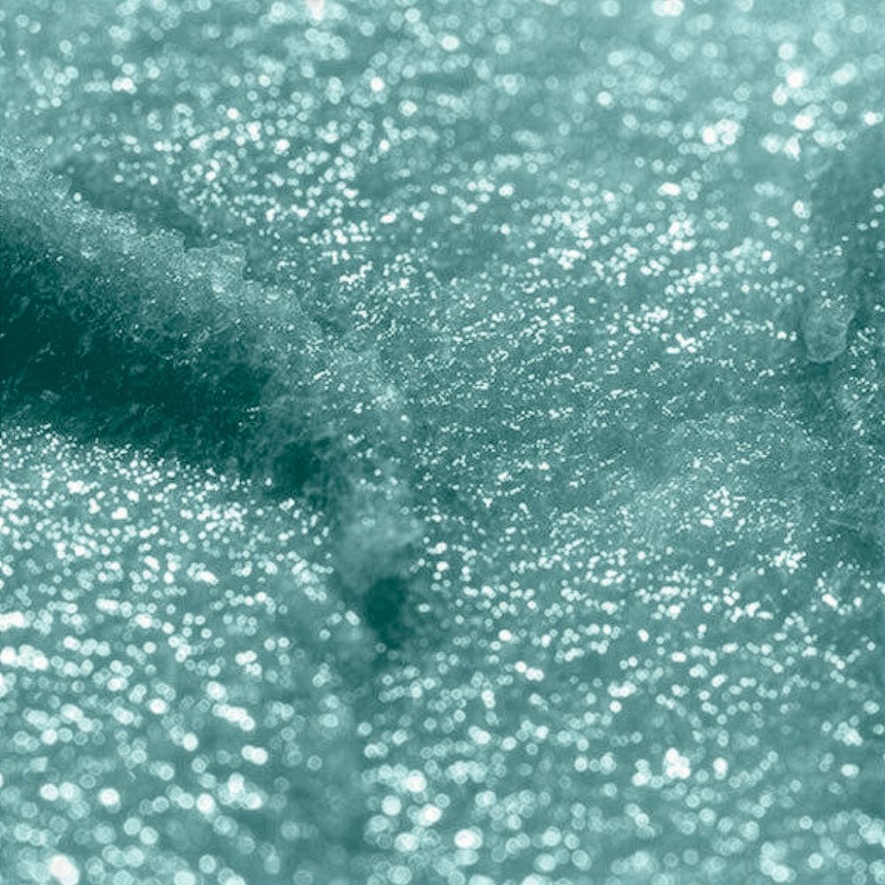 Primo piano della texture dello scrub labbra Rougj.