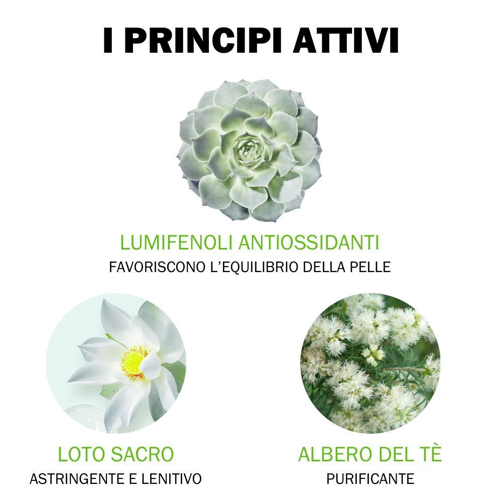 JOWAE principi attivi: Lumifenoli, Loto Sacro, Albero del Tè. Simboli cura pelle.