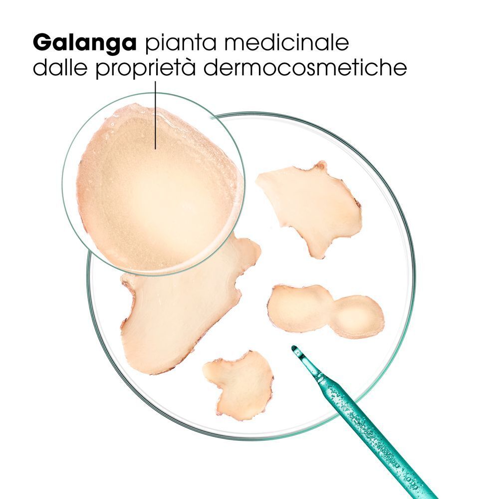 Radici di galanga in una capsula di Petri, Klorane.