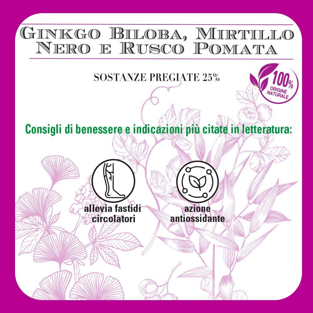 Primo piano di una confezione viola con informazioni su Ginko Biloba, Mirtillo Nero e Rusco Pomata e motivi vegetali.