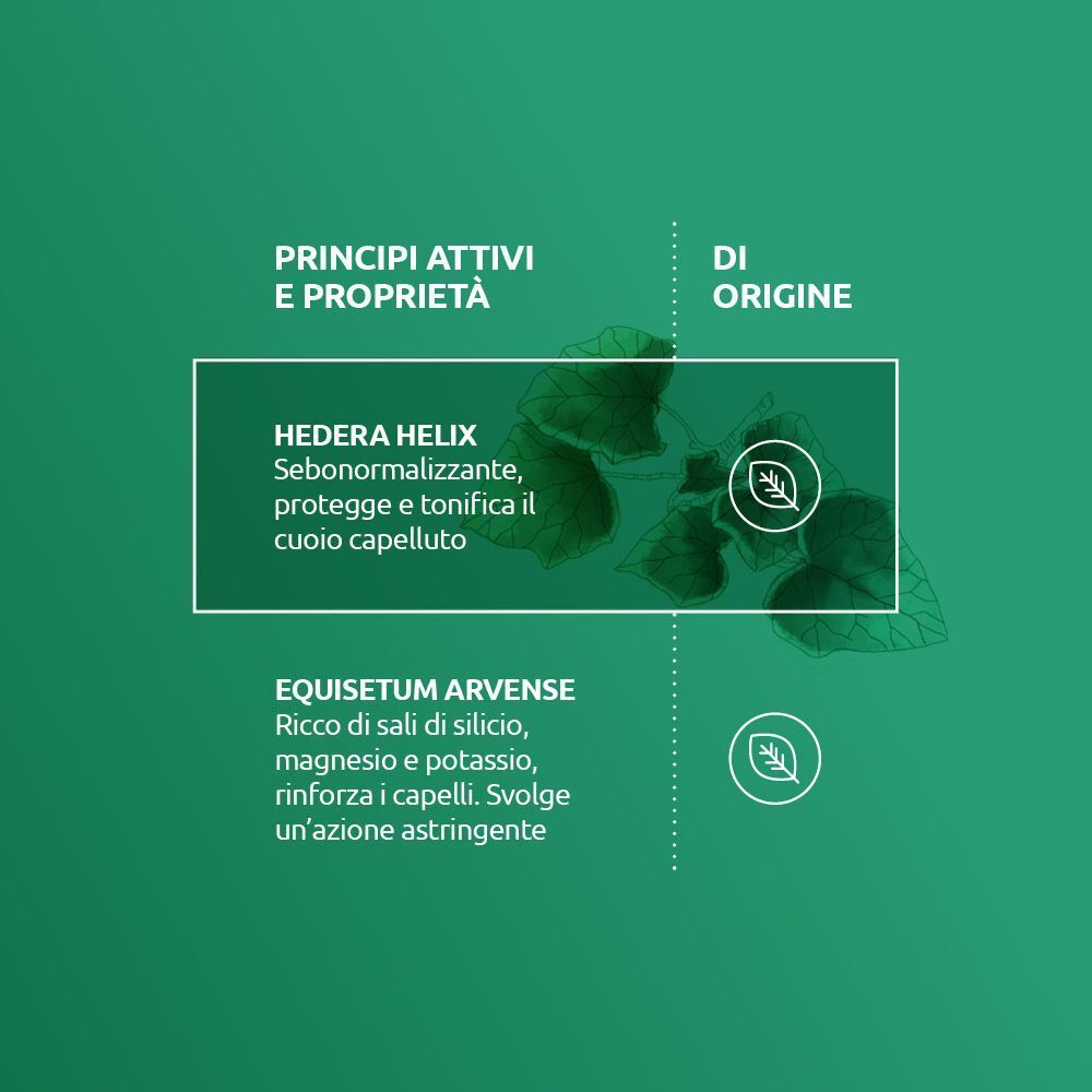 Grafica con principi attivi e proprietà: Hedera Helix ed Equisetum Arvense.