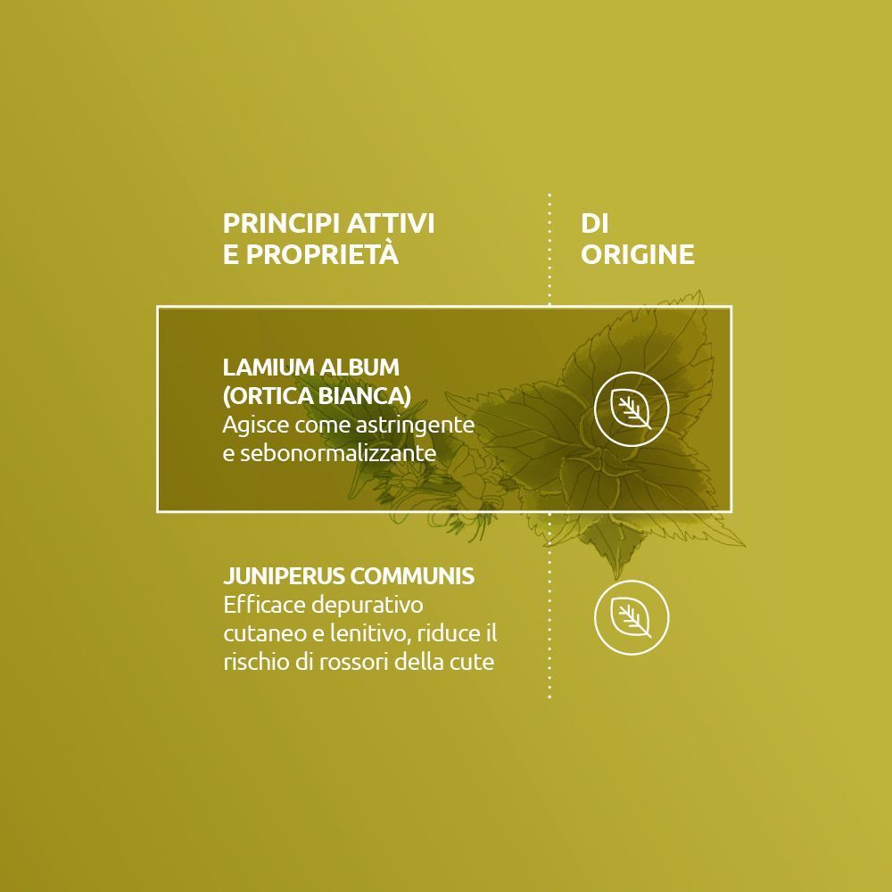 Testo italiano sui principi attivi e le proprietà di Lamium Album e Juniperus Communis, con foglie.