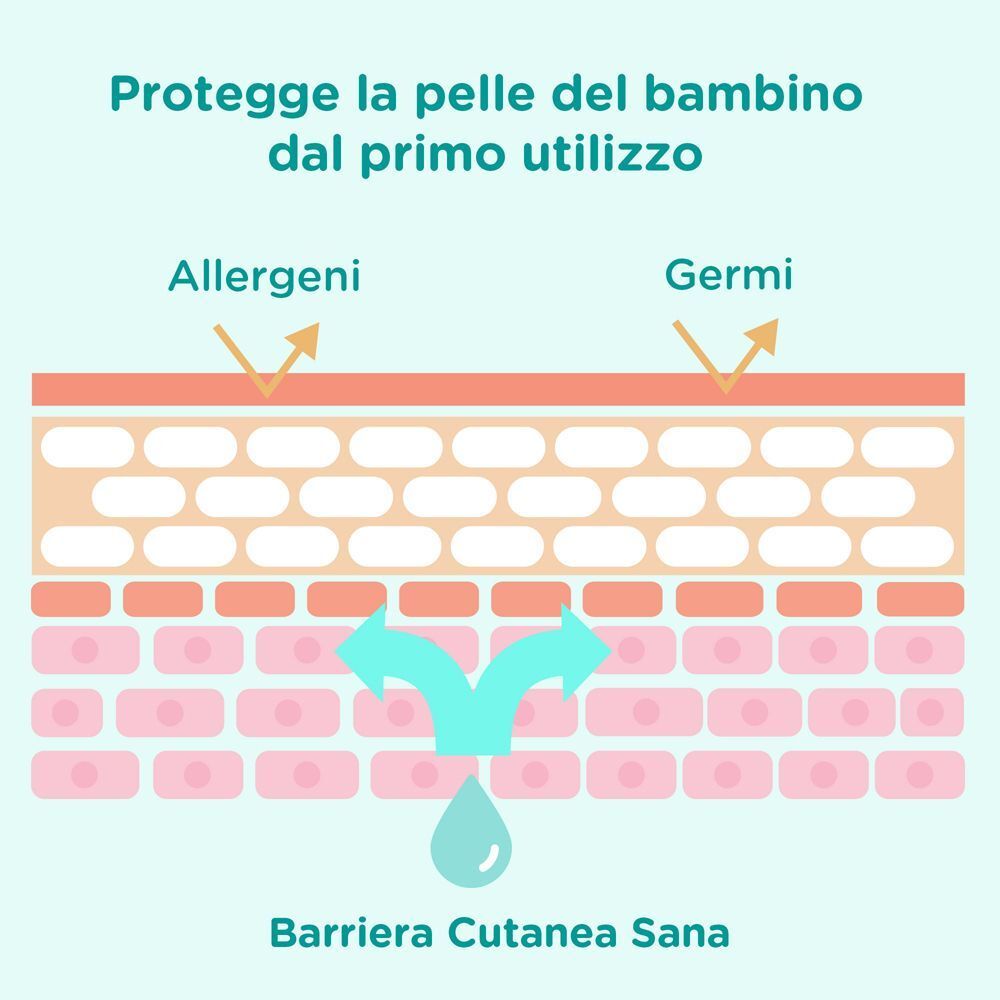 Schema: Barriera cutanea sana protegge da allergeni e germi.