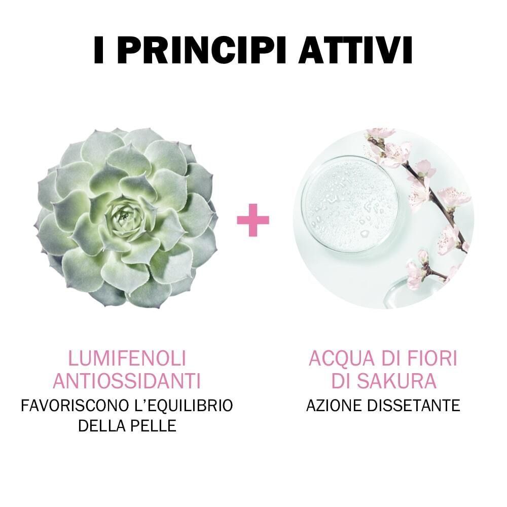 Due cerchi mostrano una succulenta e una capsula di Petri con fiori di ciliegio. Testo: 'LUMIFENOLI ANTIOSSIDANTI', 'ACQUA DI FIORI DI SAKURA'.