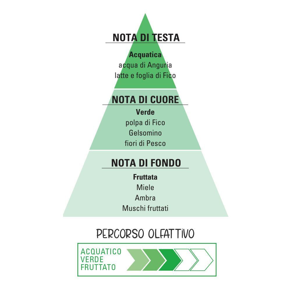 Piramide delle note olfattive: nota di testa acquatica, nota di cuore verde, nota di fondo fruttata.
