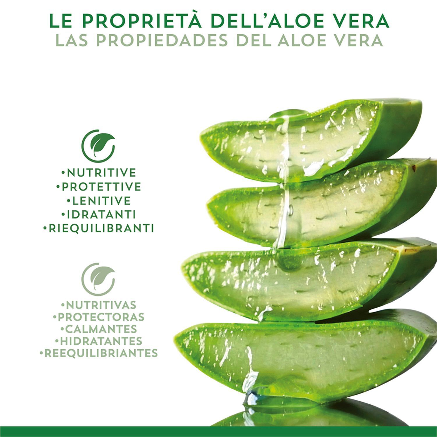 Fette di Aloe Vera impilate con gocce e testo sulle sue proprietà nutritive.