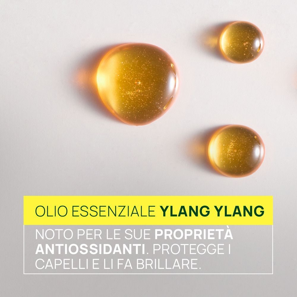 Olio essenziale Ylang Ylang: proprietà antiossidanti, protegge e fa brillare i capelli.