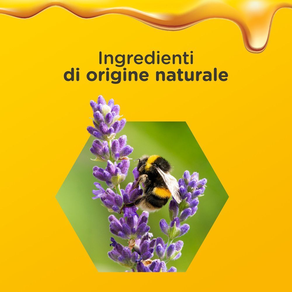 Sciroppo Notte Difese Immunitarie Zarbee's: Ingredienti di origine naturale, ape su fiore di lavanda.
