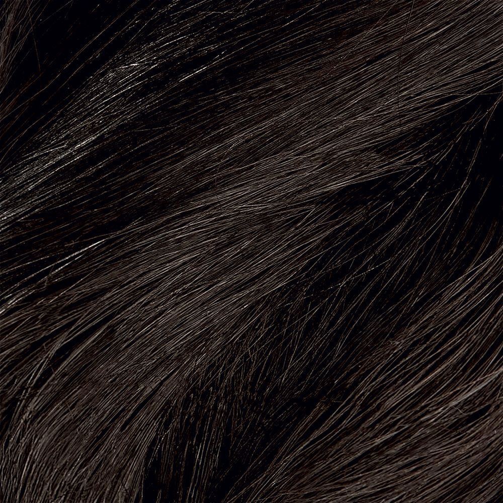 Primo piano di capelli scuri e lucidi, tonalità 3N Castano Scuro.