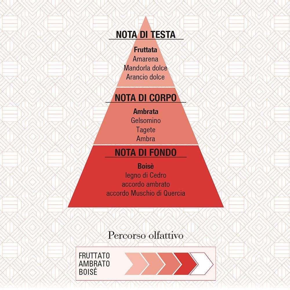 Piramide delle note olfattive: note di testa, cuore e fondo di Rosso d'Ambra.