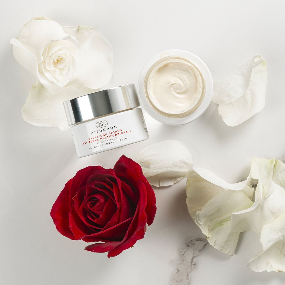 Vasetto crema giorno Mitochon aperto, circondato da petali di rosa e una rosa rossa.