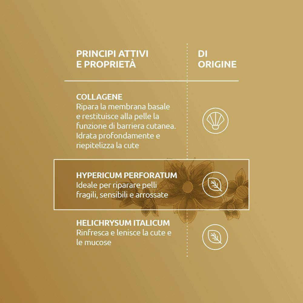 Infografica con testo sui principi attivi e proprietà di collagene, Hypericum Perforatum e Helichrysum Italicum.