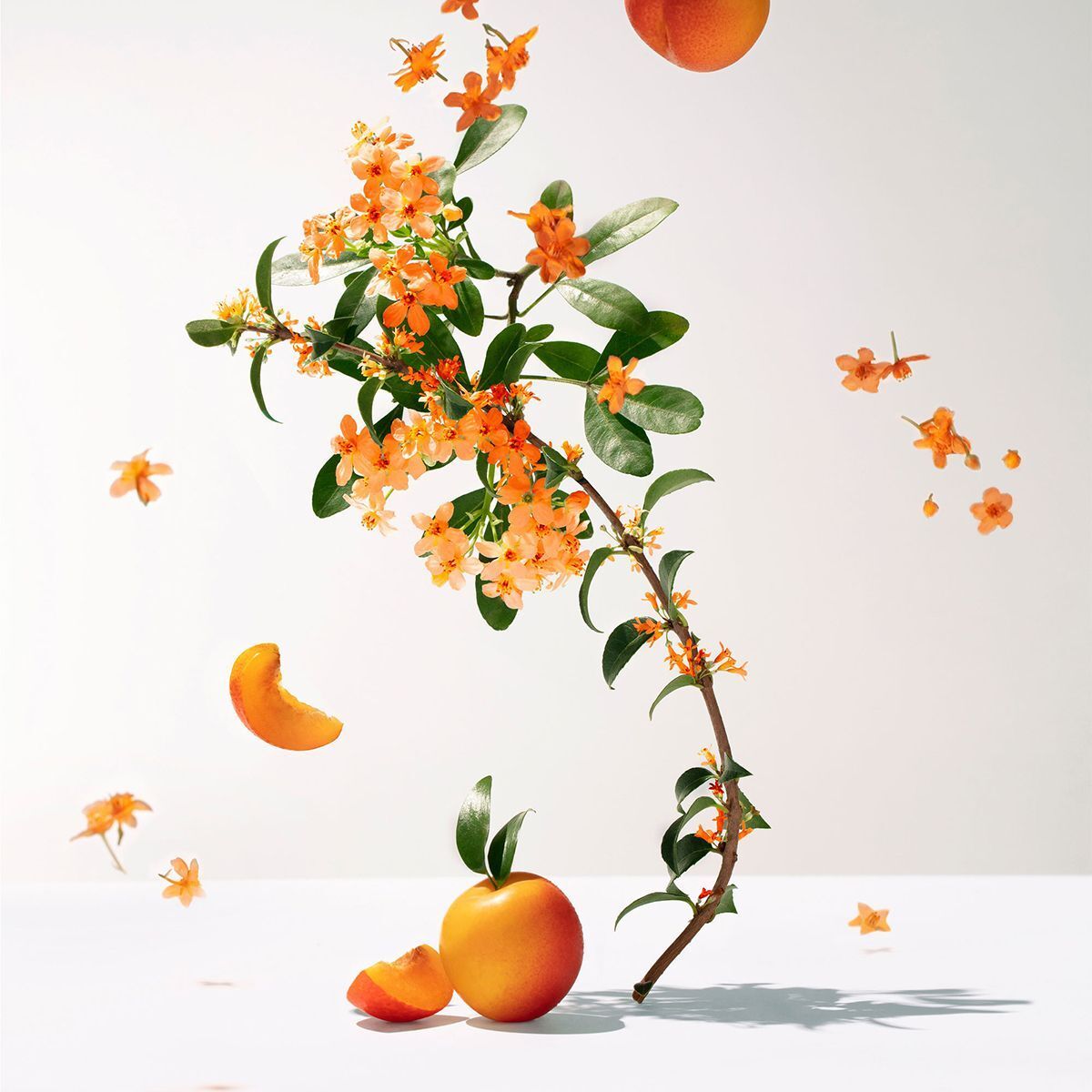 Ramo di fiori d'osmanthus profumati e frutti, circondato da petali e spicchi di frutta fluttuanti.