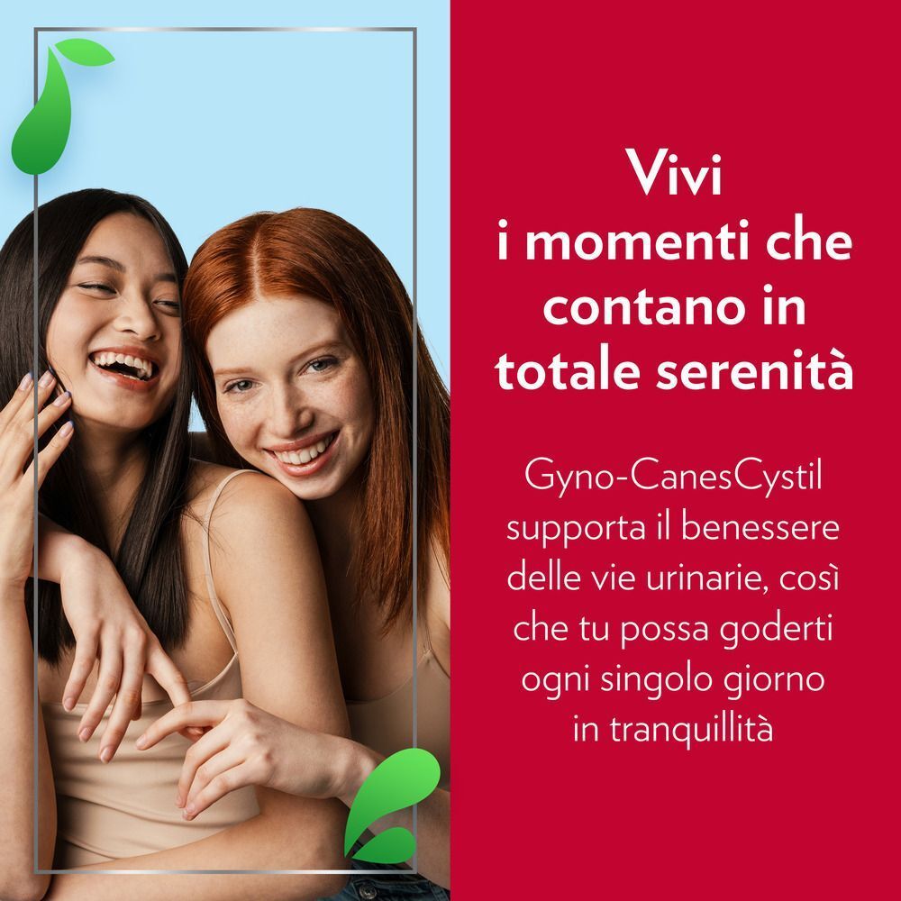 Due donne sorridenti che si godono la vita, supportate da Gyno-CanesCystil per il benessere urinario.