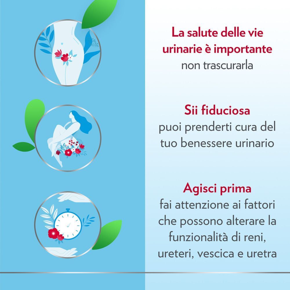 Grafiche che evidenziano l'importanza della salute urinaria e il ruolo di supporto di Gyno-CanesCystil.