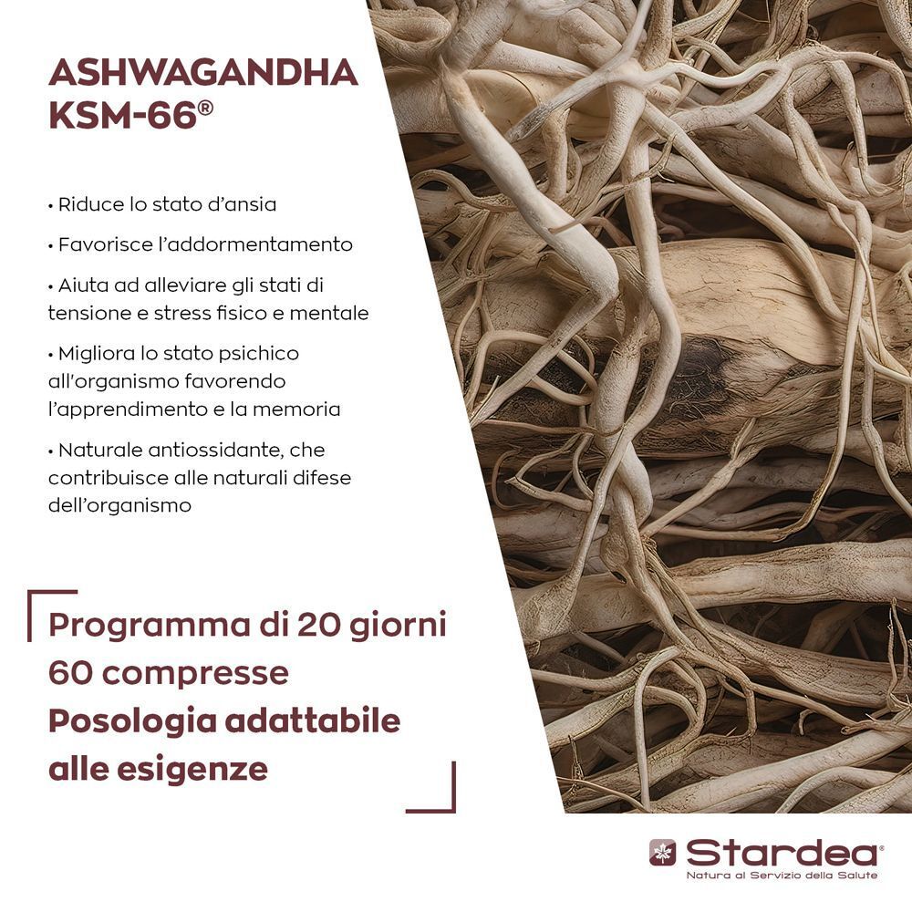 Ashwagandha KSM-66: elenco dei benefici e informazioni su 60 compresse per 20 giorni.
