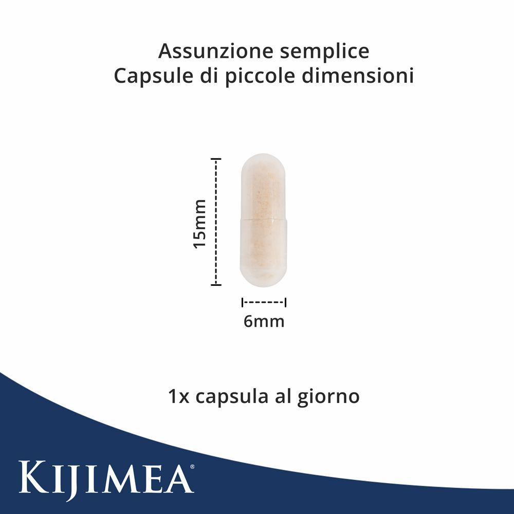 Una capsula (6x15mm) con indicazione delle dimensioni. Kijimea® FloraCare. Assunzione semplice, 1 capsula al giorno.