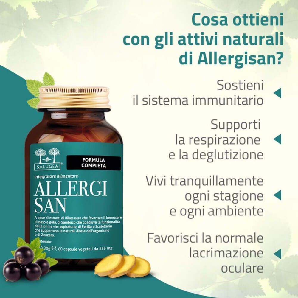 Flacone di Allergisan Salugea, frutti di bosco e spicchi di zenzero.