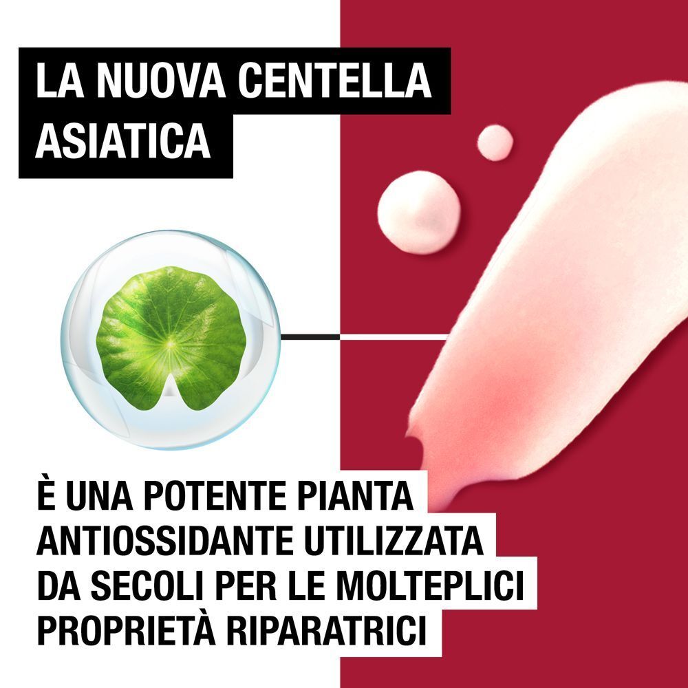 Foglia di Centella Asiatica in una bolla, testo sulle sue proprietà antiossidanti.