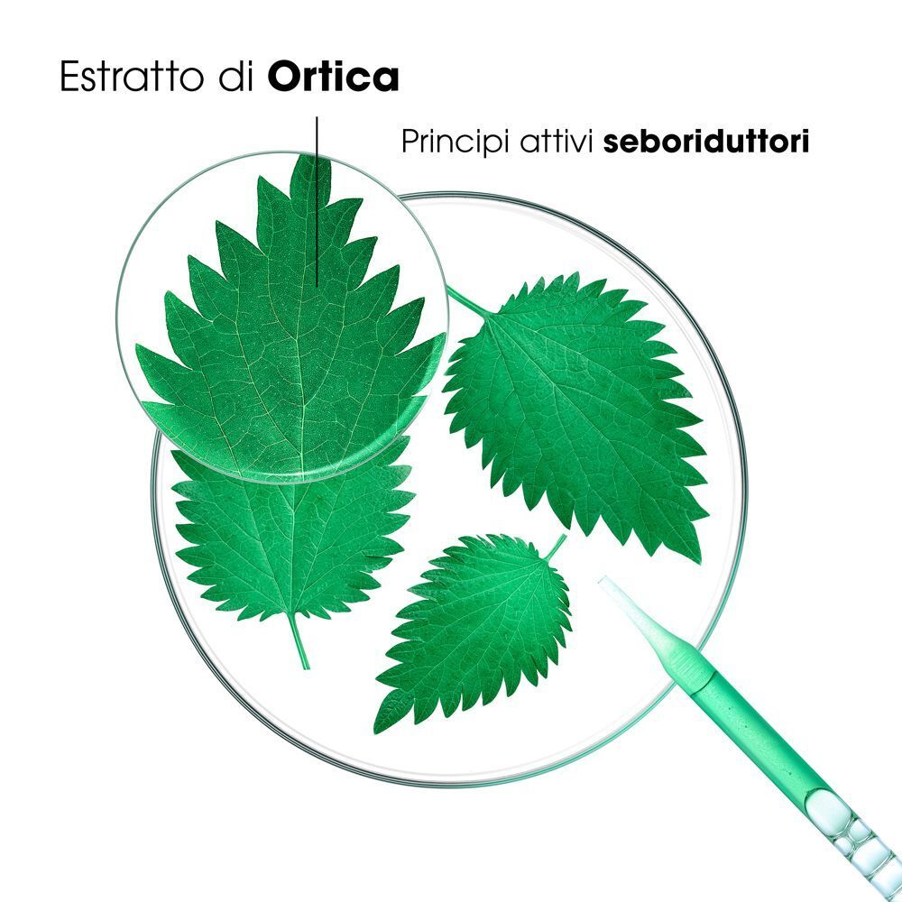 Foglie di ortica e contagocce che mostrano i principi attivi seboriduttori dello shampoo Klorane.