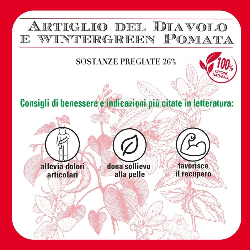 Helan Artiglio del Diavolo e Wintergreen Pomata: icone per sollievo dolori articolari, comfort pelle e recupero.