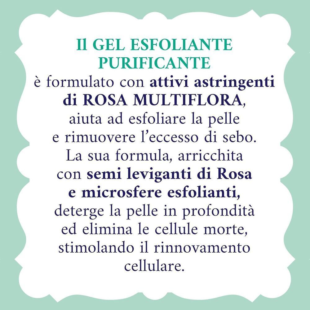 Descrizione testuale della formula del Gel esfoliante Purificante Acqua alle Rose con Rosa Multiflora.