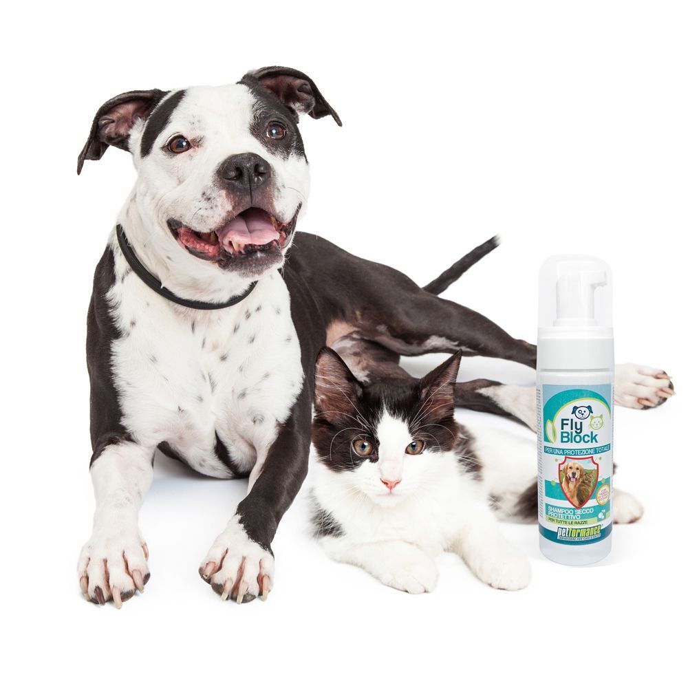 Cane e gatto accanto a un flacone di shampoo secco Petformance Fly Block con dispenser schiumogeno.