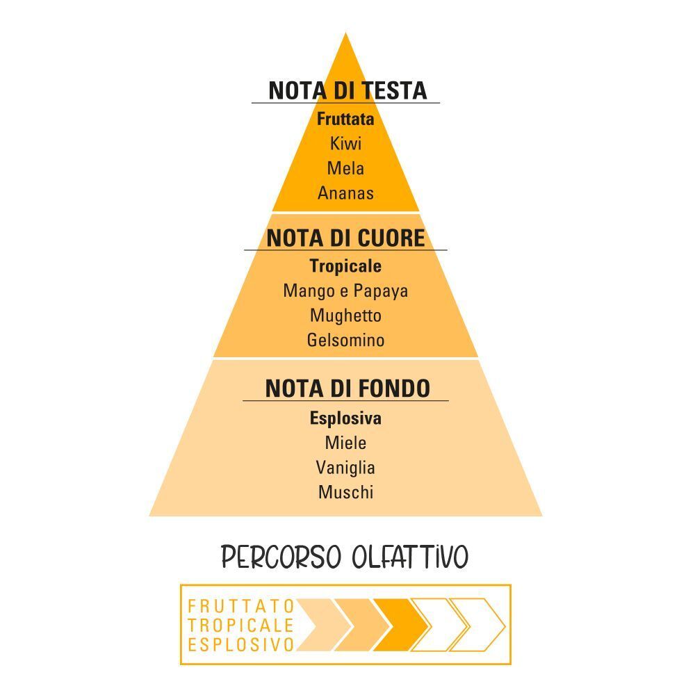 Una piramide che illustra le note olfattive di 'MangoBoom eau de toilette': note di testa, cuore e fondo.